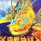 fortune koi